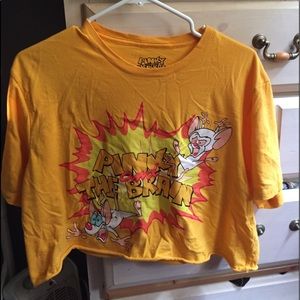 Forever 21 pinky and the brain cropped tee